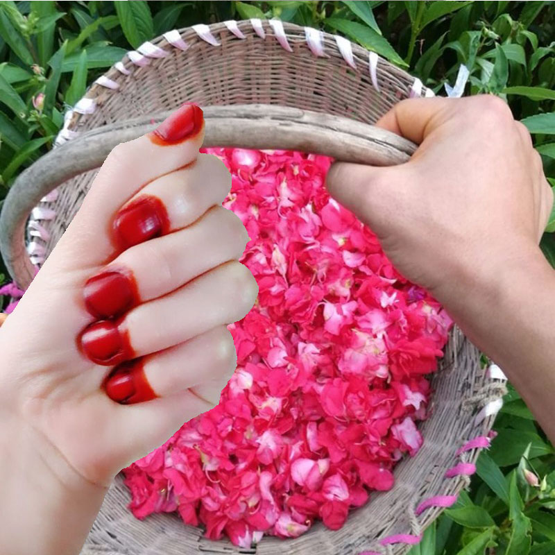 Nail Art Red - 40g Henna w proszku do farbowania